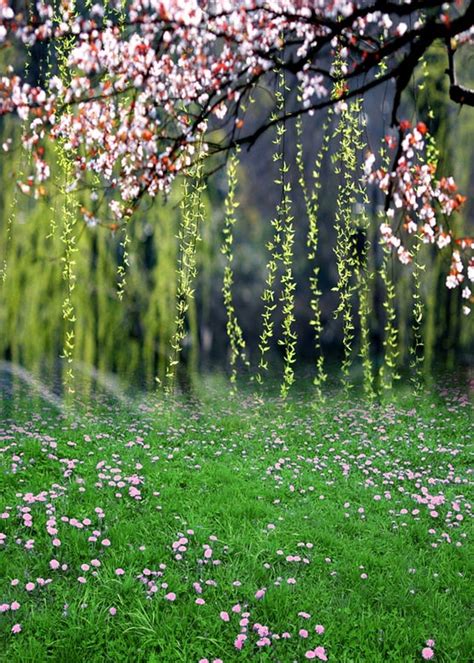 Custom Vinyl Cloth Spring Flowers Willow Scenic