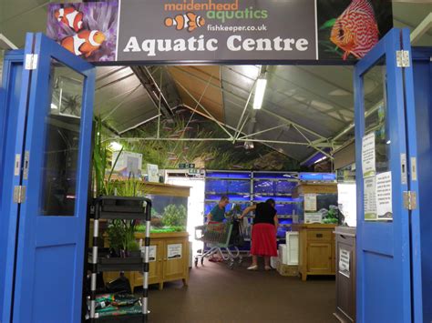 Stockton Maidenhead Aquatics Fish Store Review Tropical Fish Site