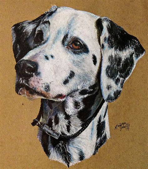 Dalmatian Dog Artwork Dog Drawing Animal Paintings