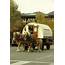 Idaho Sheep Camp LLC  Horse Drawn Wagon﻿