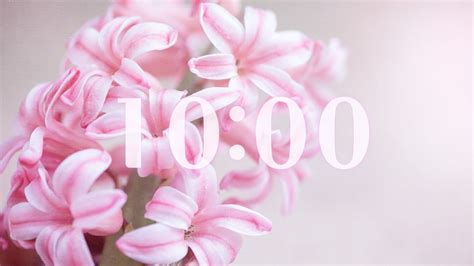 10 Minute Timer Pink Flowers Youtube