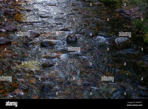 Clear Clean Water Flowing In Rattlesnake Creek Missoulamontana Stock