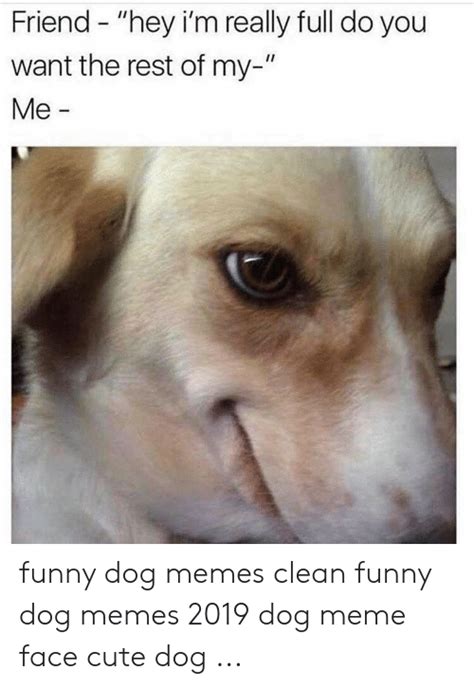 30 Funny Cute Clean Memes Factory Memes