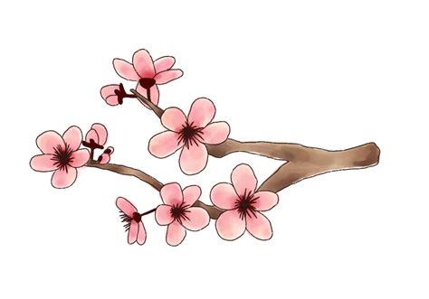 How To Draw Cherry Blossoms Design School