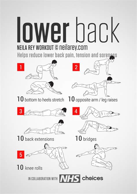 39 Lower Back No Equipment Exercises Machine Absworkoutcircuit