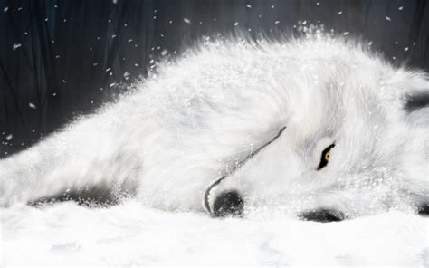 Wallpapers HD Desktop Wallpapers Free Online Magnificent Wolf Wallpapers