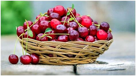 Cherry Health Benefits गर्मियों में चेरी को डाइट में शामिल करने से होंगे ये फायदे Cherry