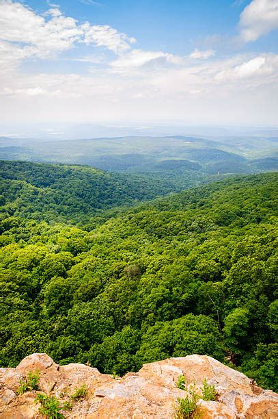 Ozark Mountains Oklahoma Stock Photos Pictures And Royalty Free Images