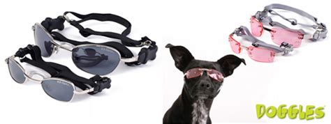 Doggles Sunglasses For Dogs 99 Shipped 50 Reg Woof Woof Mama