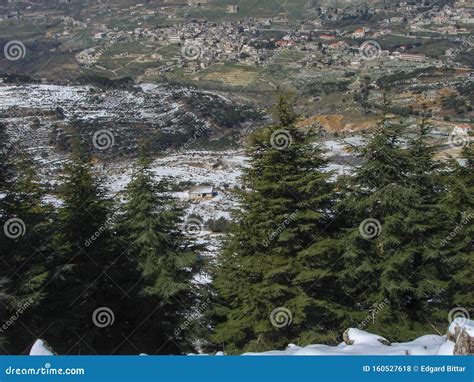 Arz Al Barouk Lebanon Cedars Snow Season Stock Photo Image Of Outdoor