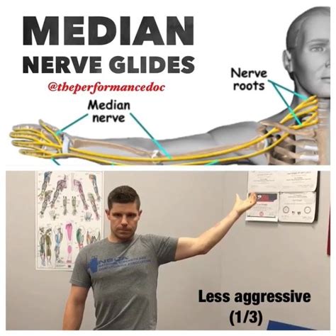 💥median nerve glides💥 numbness and tingling in the thumb and index finger is sometimes caused by
