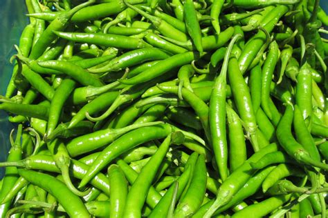 green finger pepper 5 lb molokai seed company