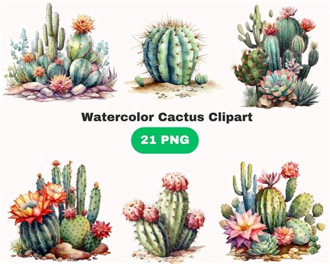 Watercolor Cactus Clipart Desert Cactus Png Instant Etsy