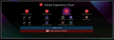 Adobe Releases Experience Platform And Cdp Iterates Sensei