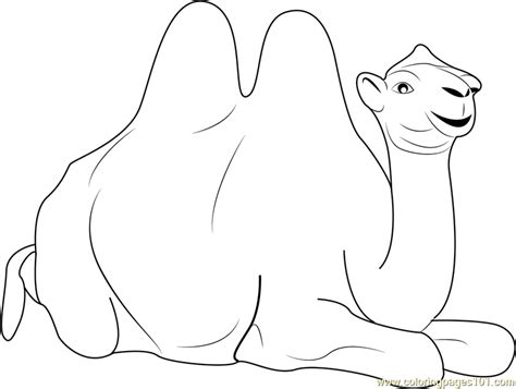 Maybe you would like to learn more about one of these? Bactrian Camel Coloring Page - Free Camel Coloring Pages ...