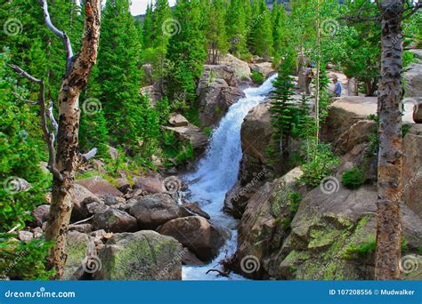 Alberta Falls In Rocky Mountain National Park Editorial Photo Image