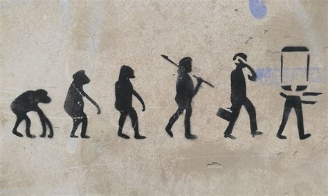The Evolution Of Effective Marketing Volusion