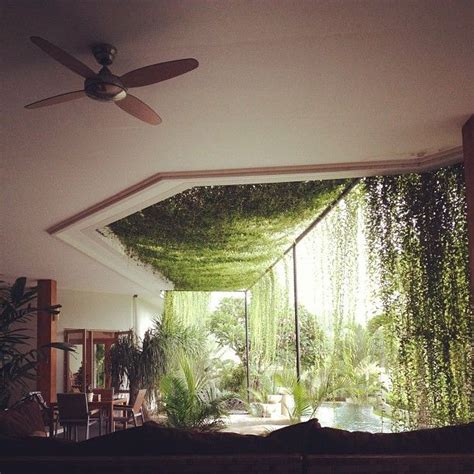 This website uses cookies to improve your experience while you navigate through the website. Moon to Moon: Happy Hanging House Plants