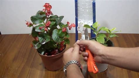 Make Self Watering System For Plants Diy Watering System At Home With