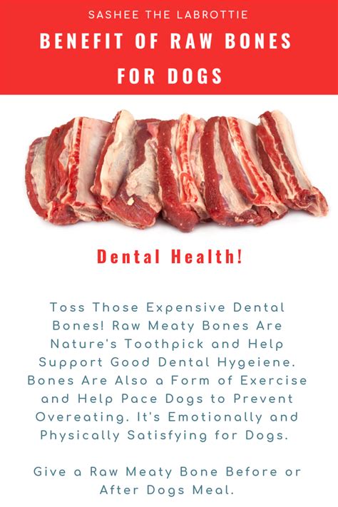 Benefit Of Raw Bone For Dogs Raw Dog Food Recipes Dog Raw Diet Dog