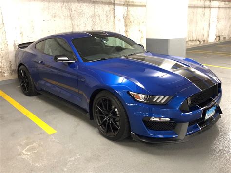 Blue And Black Mustang Gt