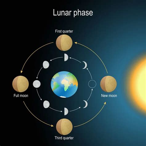 Lunar Phase Images Search Images On Everypixel
