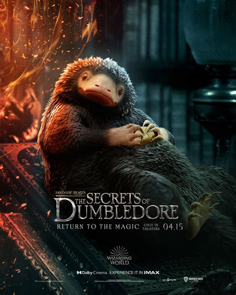 Fantastic Beasts The Secrets Of Dumbledore Poster Teddy The Niffler