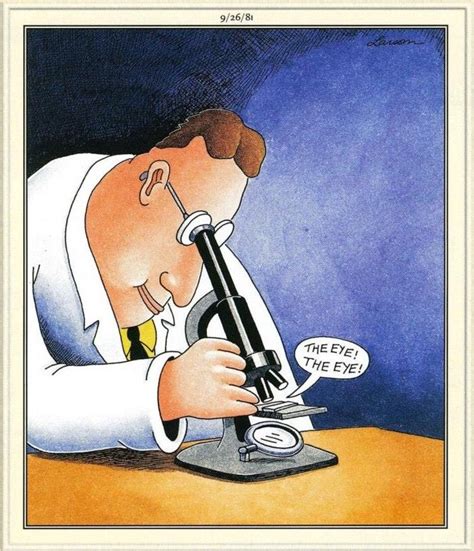 The Far Side Far Side Comics Gary Larson Cartoons Funny Cartoon Memes