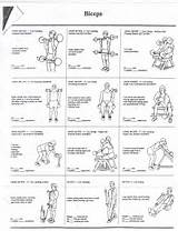 Fitnessgram Exercises Pictures