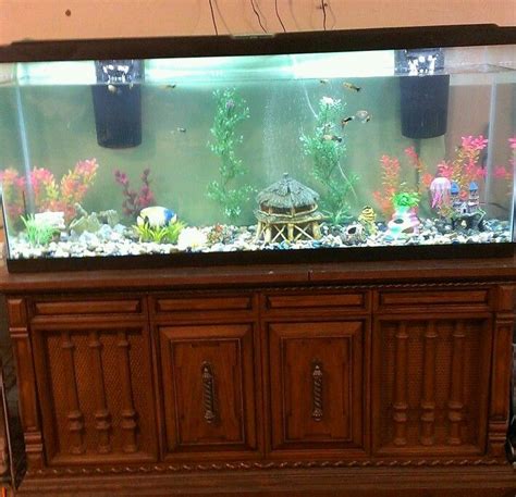 Diy 55 Gallon Aquarium Stand 30 Neat Diy Fish Tank Stand Designs And An