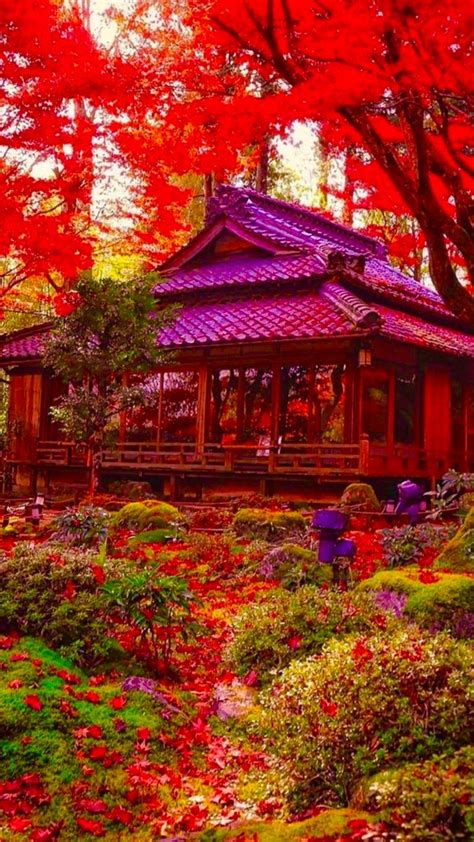 Pin By Yeda On Wonders Of The World Japanese Nature Autumn In