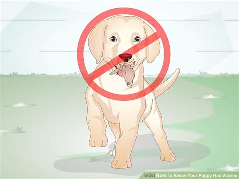 'smile though your heart is aching,' are the lyrics of a beautiful old song, but their message is vitally important to anyone with a pet suffering from cancer. How to Know Your Puppy Has Worms: 12 Steps (with Pictures)
