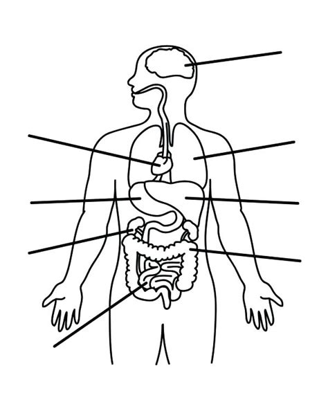 Body Parts Coloring Pages at GetColorings.com | Free printable