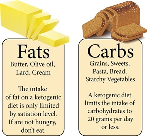 Understanding Fats And Carbs