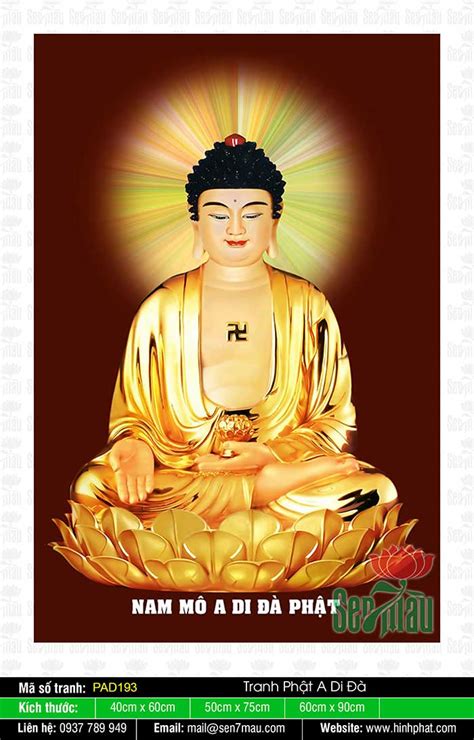 Cùng Nhìn 91 Hình ảnh đức Phật đẹp Chất Nhất Sai Gon English Center