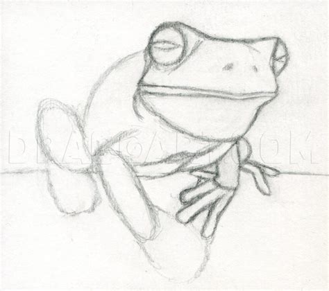 How To Draw A Realistic Frog White Lipped Tree Frog By Finalprodigy