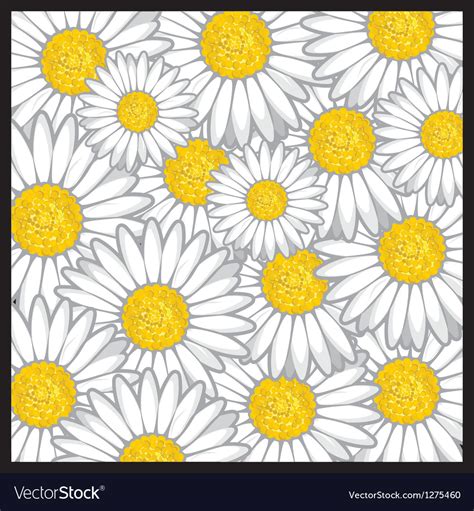 Daisy Flower Pattern Royalty Free Vector Image