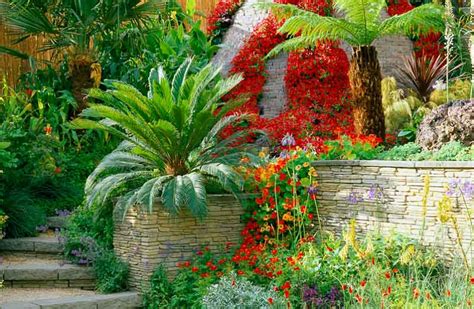 Plants commonly used or characteristic of a tropical garden is a plant that has many shades of color and has a wide leaf shape. A Sparkling Tropical Garden with Architectural plants