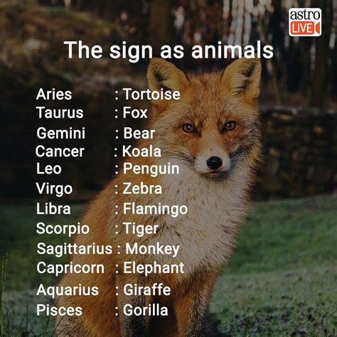 Most sagittarians love nature and possess a deep love for animals, especially dogs, cats, and horses. What's Yours? | Zodiac signs animals, Zodiac signs funny ...