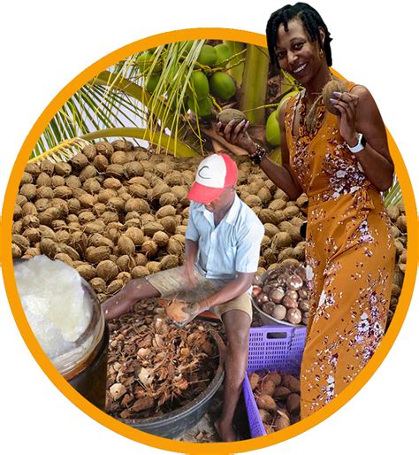 Virgin Coconut Oil Traditional Certified Organic Baraka Shea