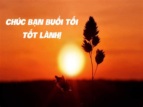 Top Với Hơn 100 Hình ảnh Chúc Buổi Tối Hay Nhất Tin Học Vui