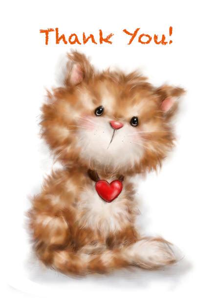 Thank You Cat Illustrations Stock Photos Pictures And Royalty Free