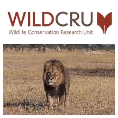 Cecil The Lionplease Donate To The People Who Were Trying To Protect