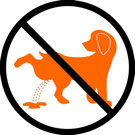No Dog Poop Sign And No Pissing Dog Sign Shitting Is Not Allowed