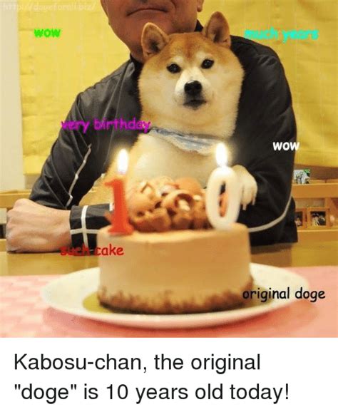 25 Best Memes About Original Doge Original Doge Memes