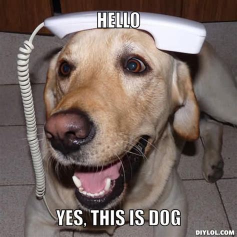 Hello Dog Meme Generator Diy Lol Hello This Is Dog Dogs Funny Dog