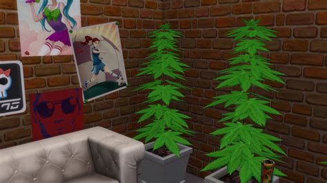 Adultifying The Sims 4 Weed Edition This Is Artsy Ginger Designs