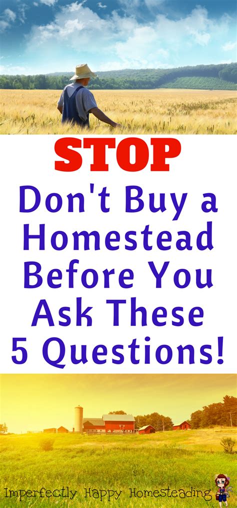 Dont Buy A Homestead Before You Ask These 5 Questions Homestead Farm
