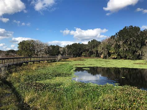 Alachua Sink One Of Floridas Largest Sinkholes Nomadlife In 2022