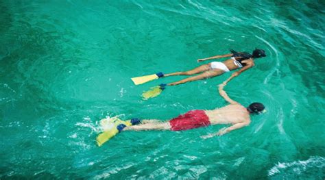 Snorkeling Puerto Galera Resorts